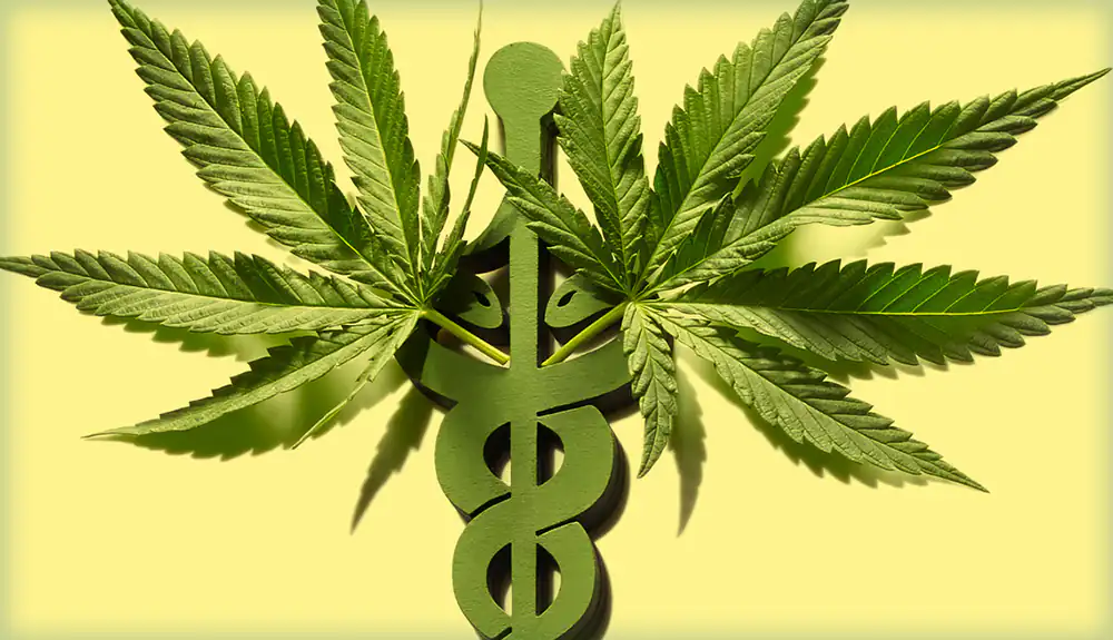 Rod of Asclepius in green and two cannabis leaves by each side