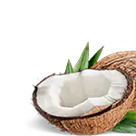  Coconut oil is an ingredient in the lube with CBD Pure For Life