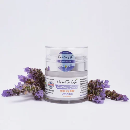 a jar with pain cure cream on white background with lavender next to it