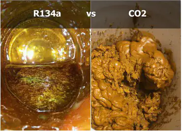 a picture of extracted by R134a CBD oil vs CO2 extracted cannabinoid wax