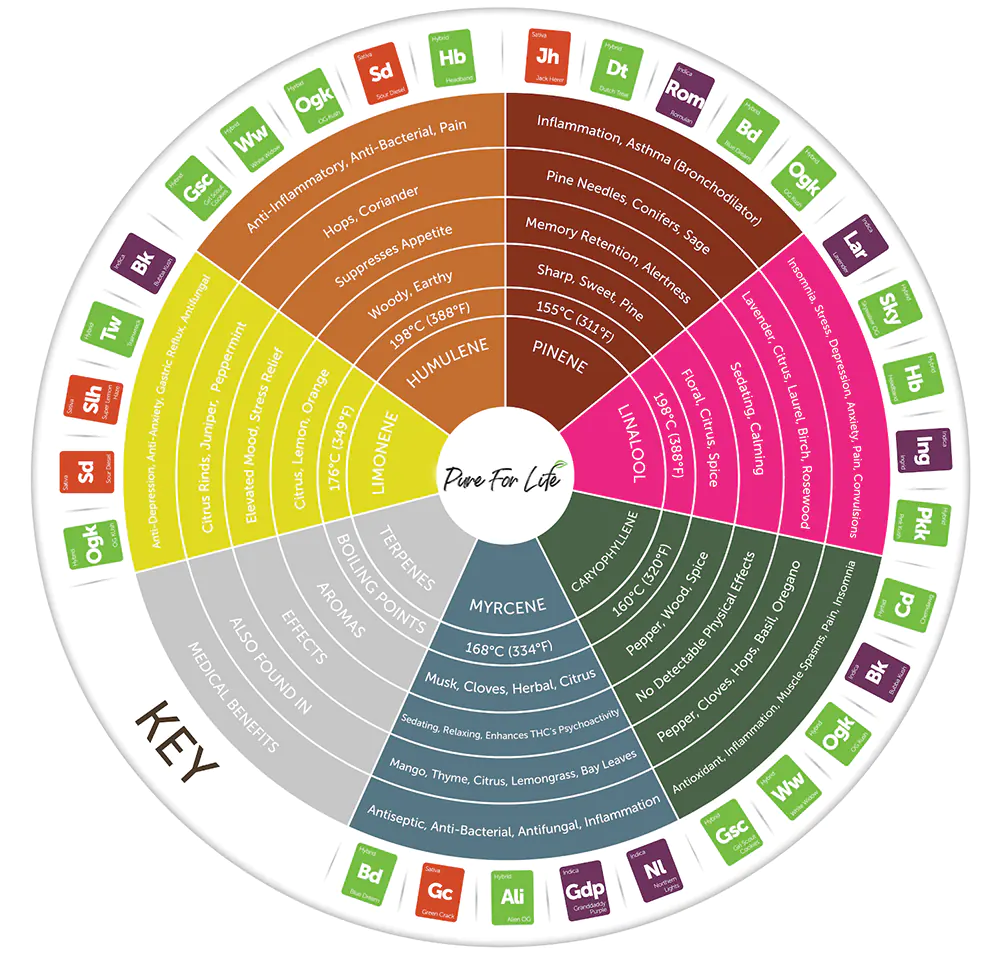 Wheel with cannabis ingredients of different cannabis strains that has different profiles of terpene