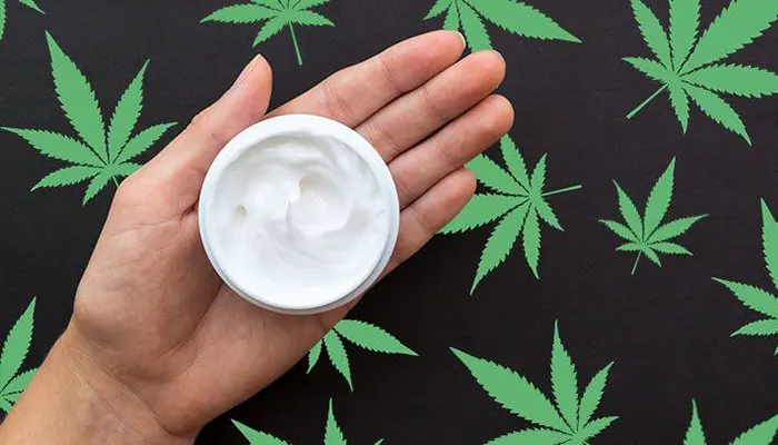 CBD cream on a palm and cannabis leave around