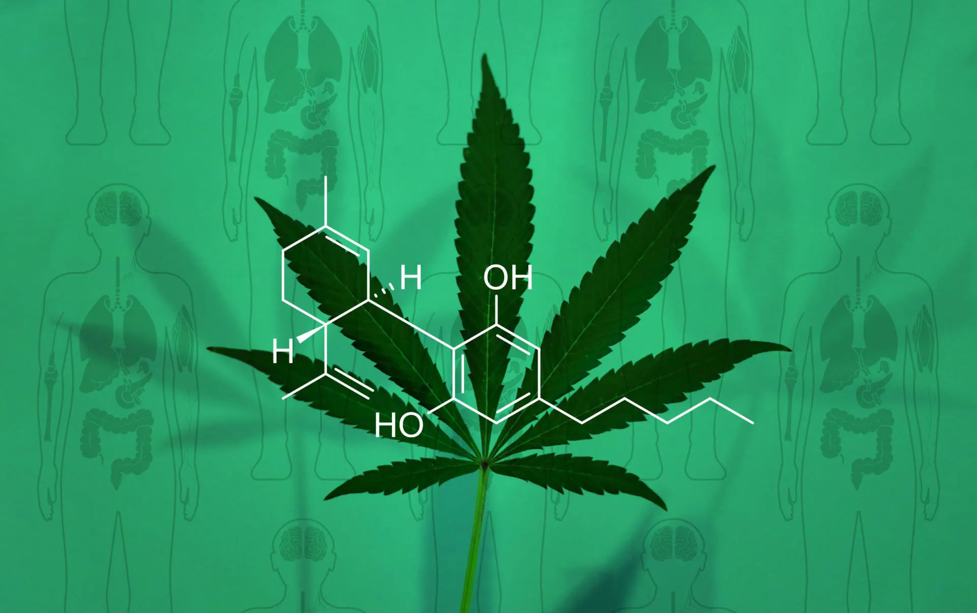 Cannabis leaf and CBD chemical formula