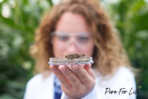 Terpenes Benefits & Pure For Life Nature's Full Power CBD