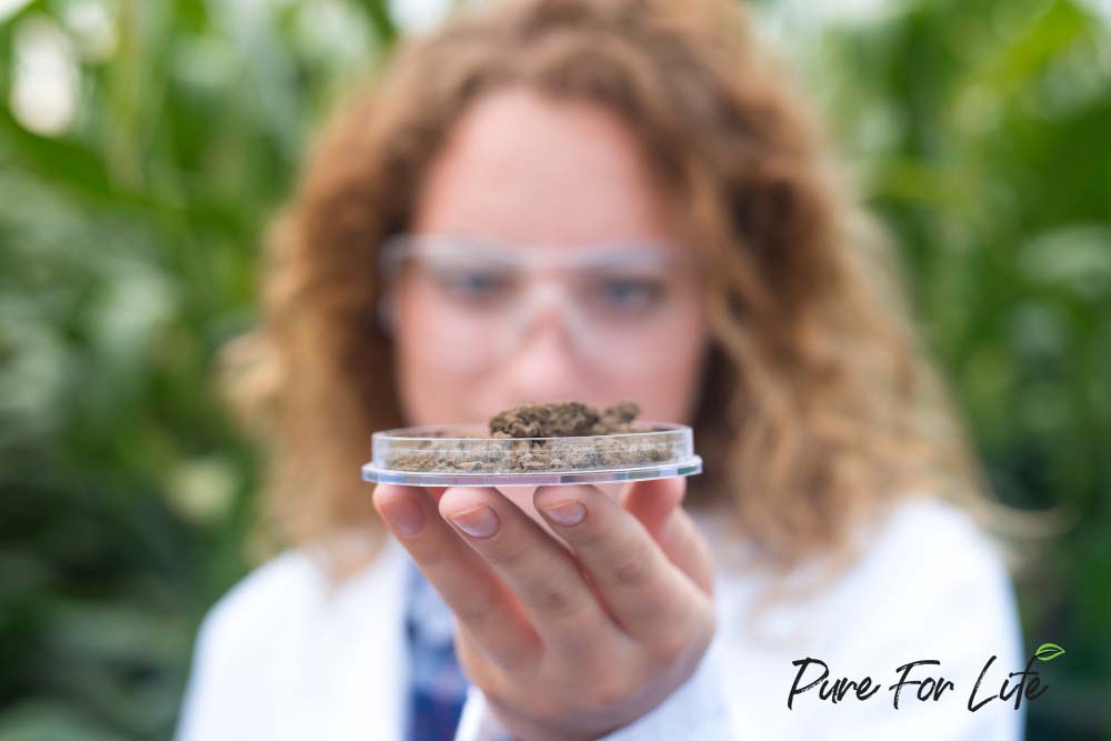 Terpenes Benefits & Pure For Life Nature's Full Power CBD