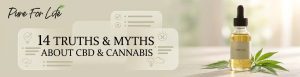 14 Truths and Myths About CBD and Cannabis