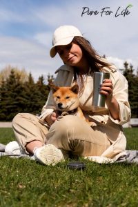 The Ultimate Guide to Full-Spectrum CBD for Pets How Cold-Extracted Botanicals Support Canine & Feline Wellness